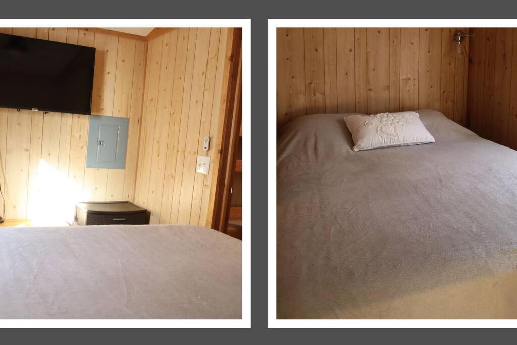 Driftwood Cabin - 2Nd Street Steinhatchee Luaran gambar